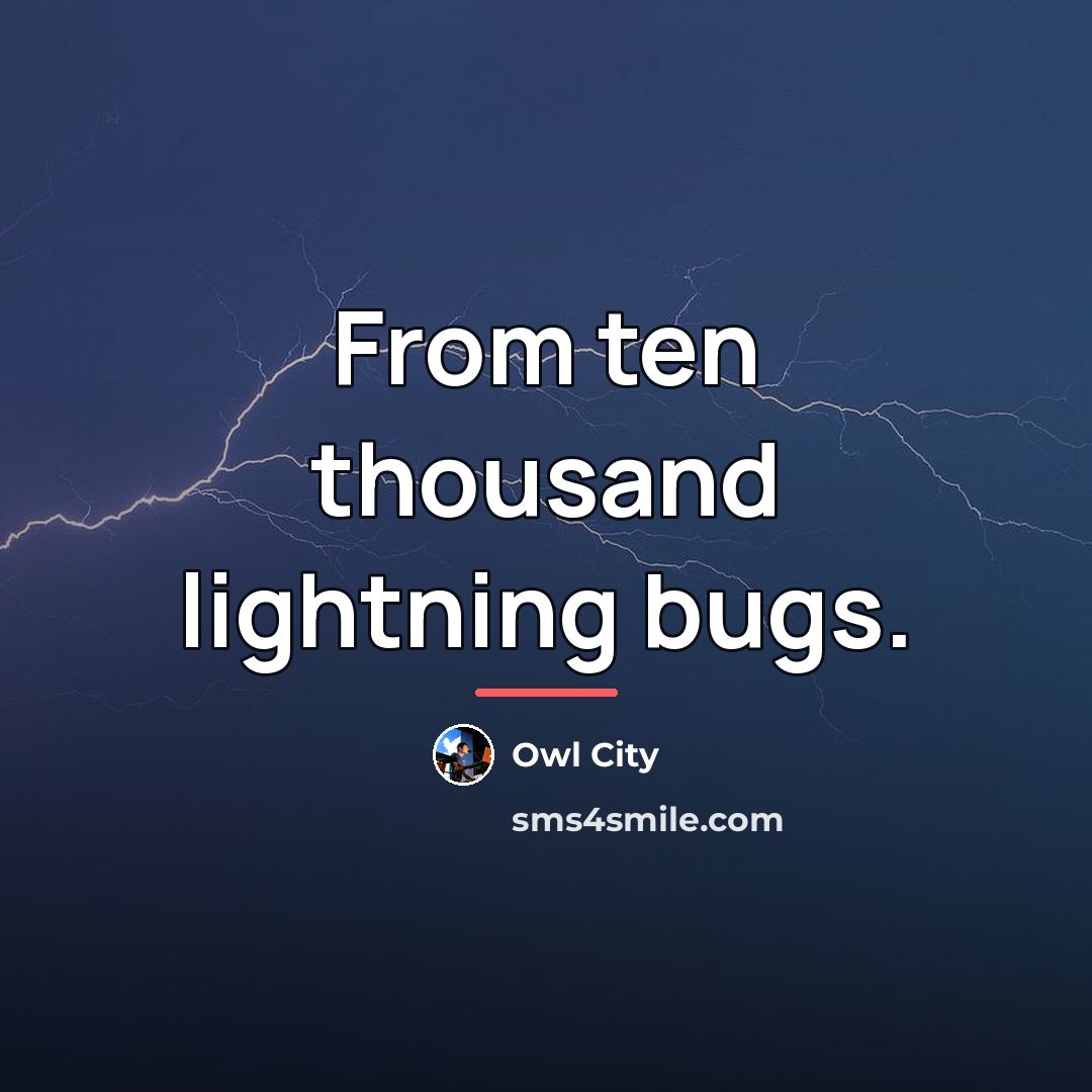 “From ten thousand lightning bugs.…” quote by Owl City