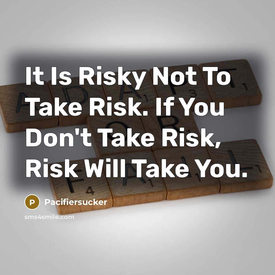 “It Is Risky Not To Take Risk. If You Don't…” quote by Pacifiersucker