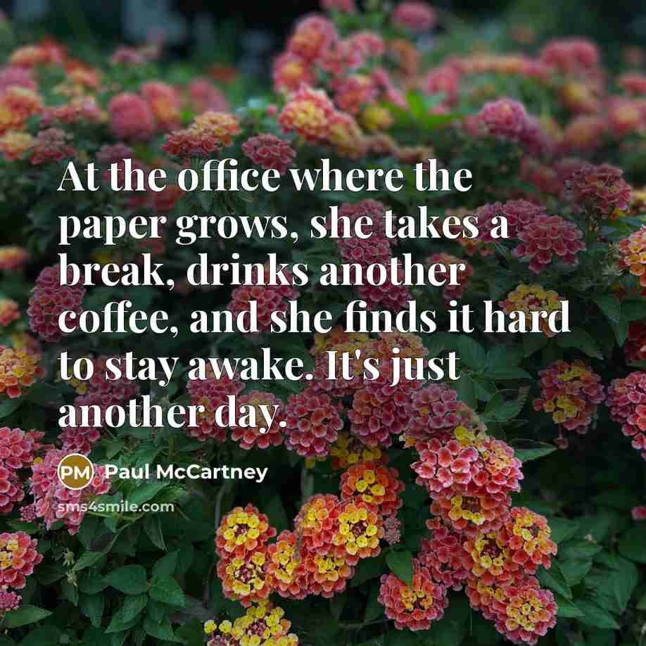 “At the office where the paper grows, she takes a…” quote by Paul McCartney