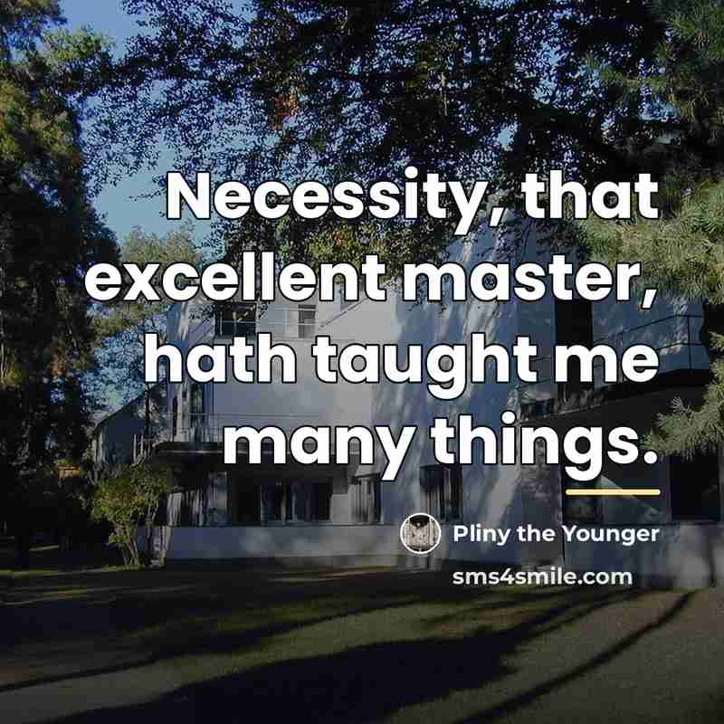 “Necessity, that excellent master, hath taught me many things.…” quote by Pliny the Younger