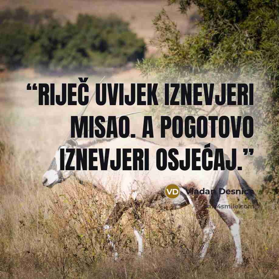 “Riječ uvijek iznevjeri misao. A pogotovo iznevjeri osjećaj.” quote by Vladan Desnica