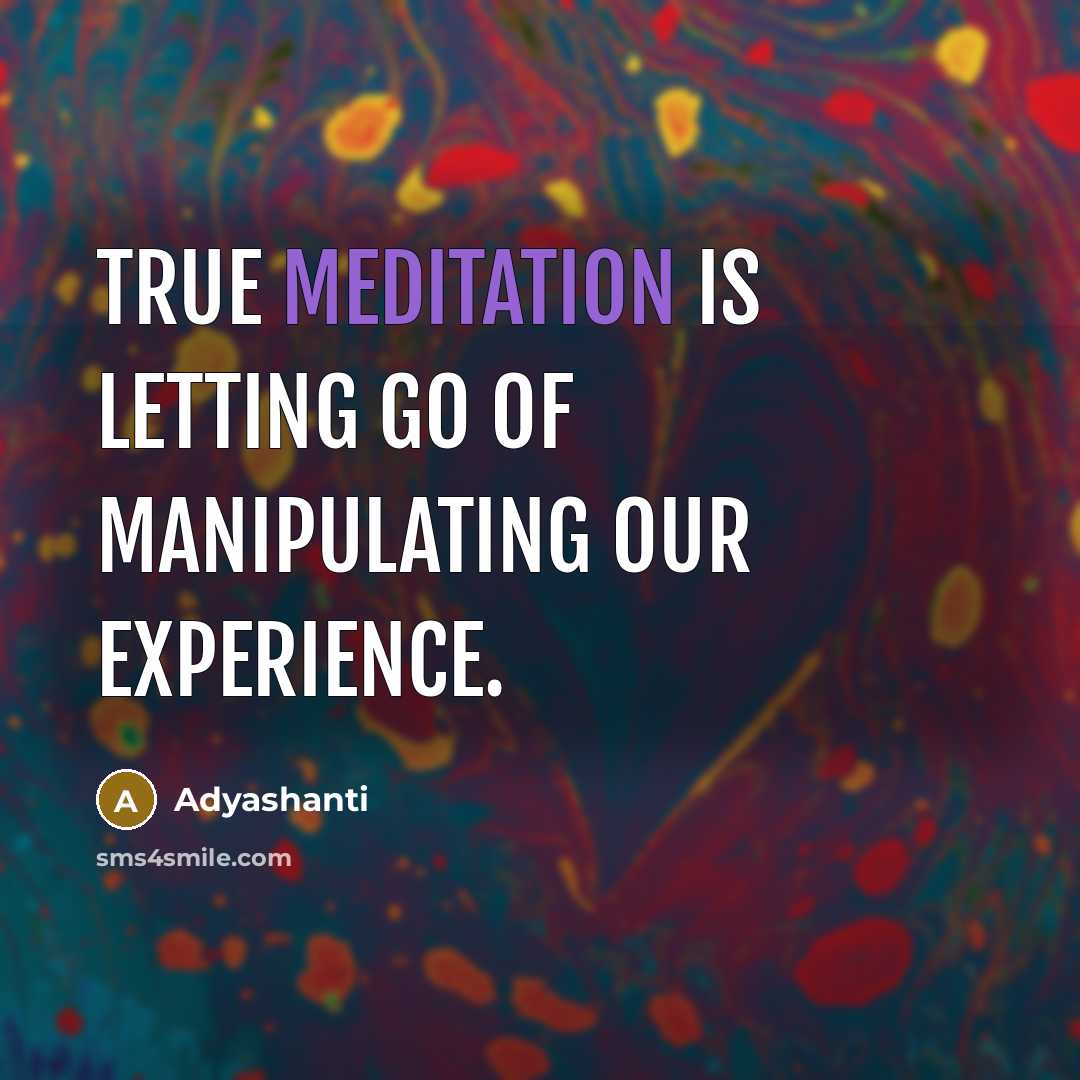 “True meditation is letting go of manipulating our experience.…” quote by Adyashanti