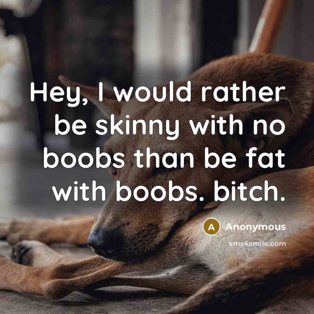 “Hey, I would rather be skinny with no boobs than…” quote by Anonymous