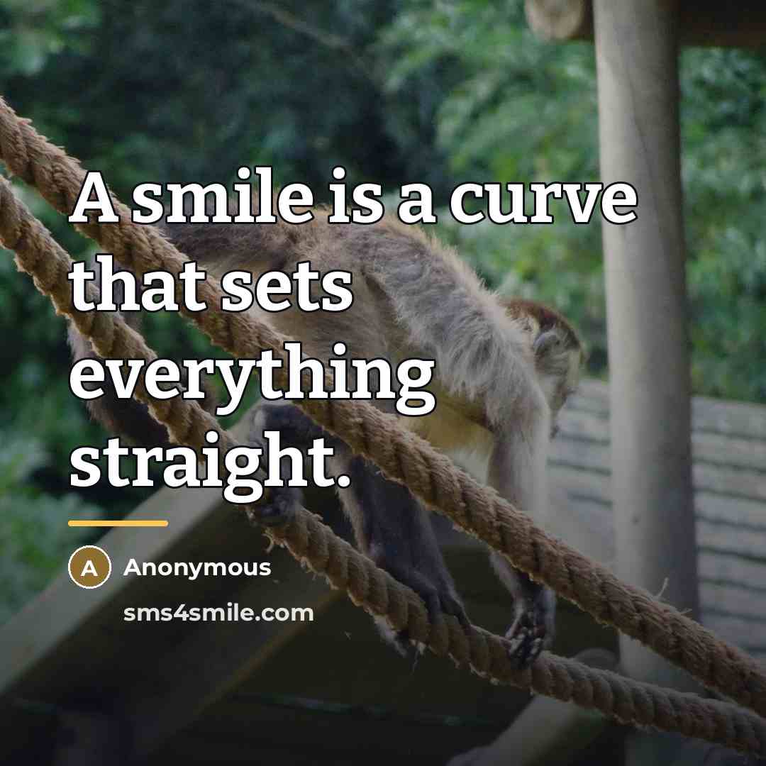 “A smile is a curve that sets everything straight.…” quote by Anonymous