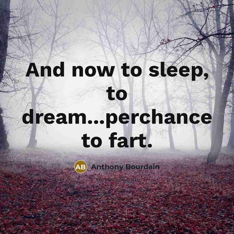 “And now to sleep, to dream...perchance to fart.…” quote by Anthony Bourdain
