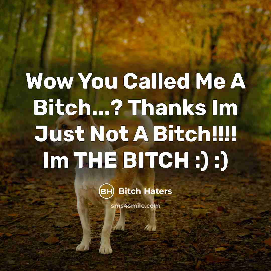 “Wow You Called Me A Bitch...? Thanks Im Just Not A Bitch!!!! Im THE BITCH :) :)” quote by Bitch Haters