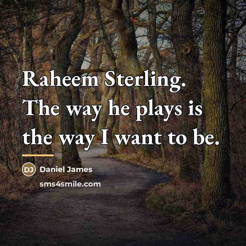 “Raheem Sterling. The way he plays is the way I…” quote by Daniel James