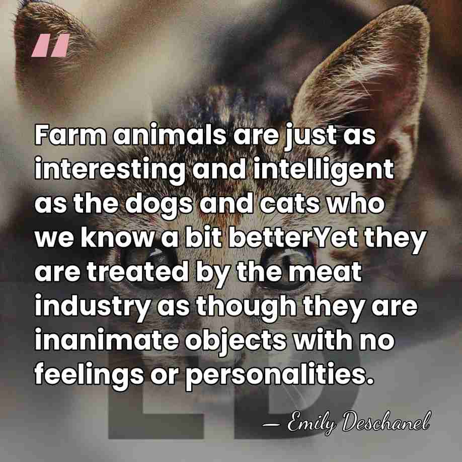 Farm animals are just as interesting and intelligent as the dogs and&hellip; - Emily Deschanel