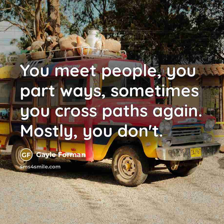 “You meet people, you part ways, sometimes you cross paths…” quote by Gayle Forman