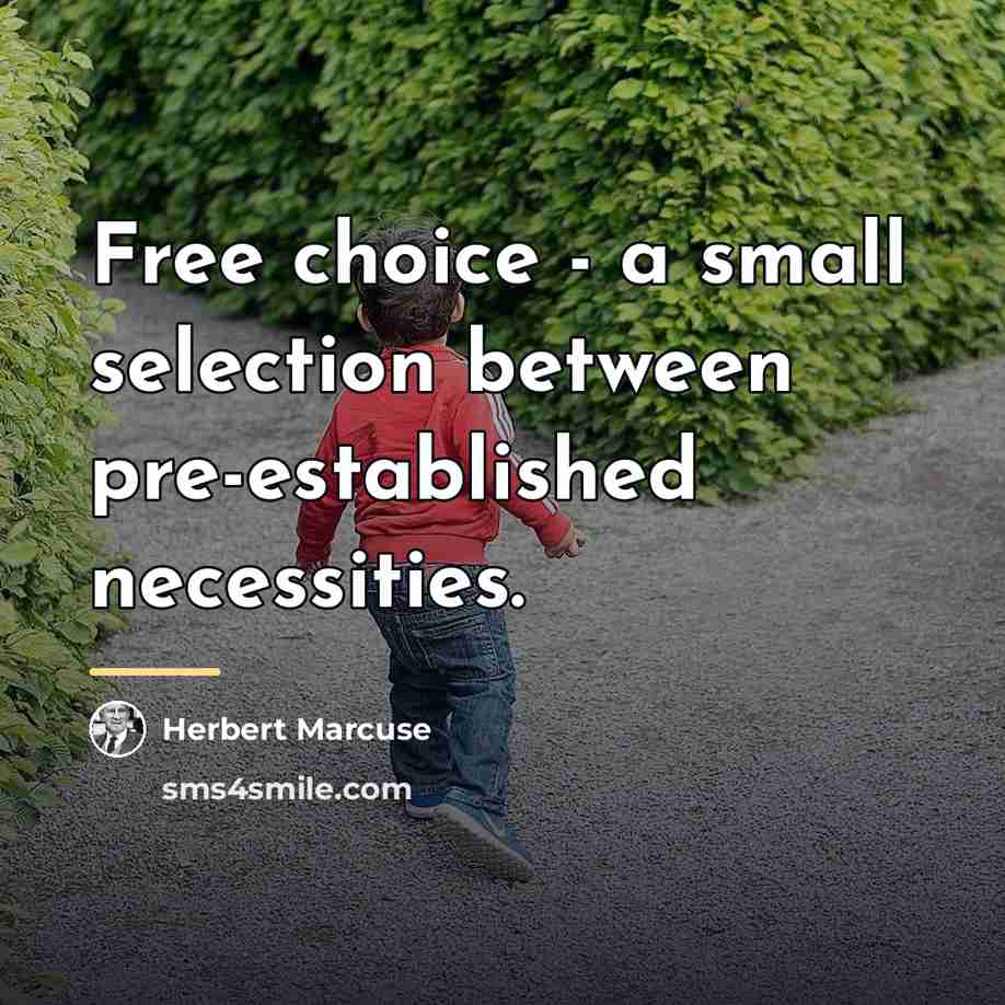 “Free choice - a small selection between pre-established necessities.…” quote by Herbert Marcuse