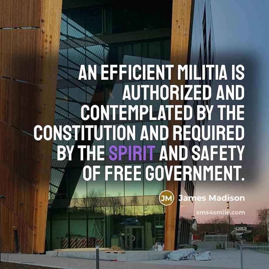 “An efficient militia is authorized and contemplated by the Constitution…” quote by James Madison