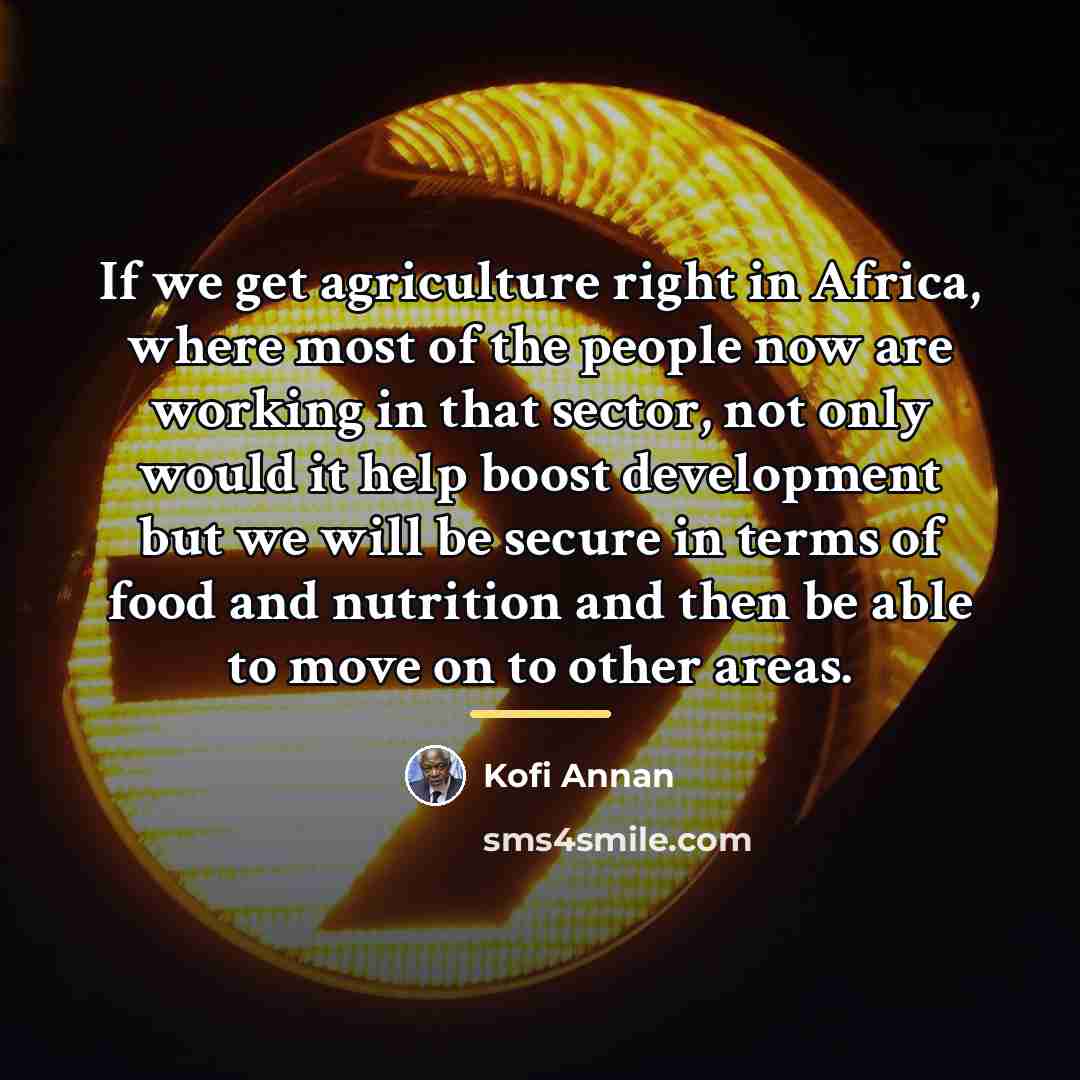 “If we get agriculture right in Africa, where most of…” quote by Kofi Annan