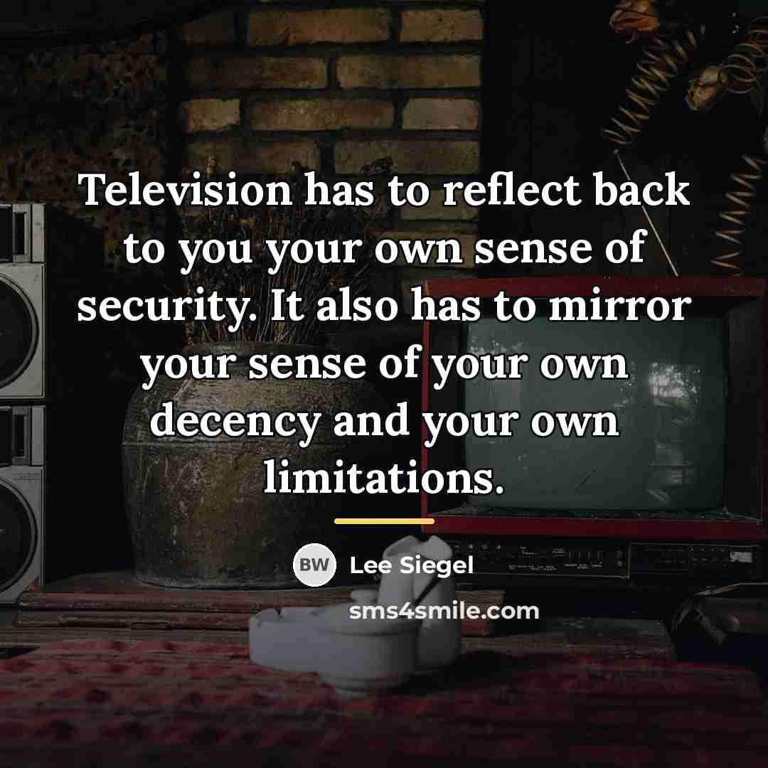“Television has to reflect back to you your own sense…” quote by Lee Siegel