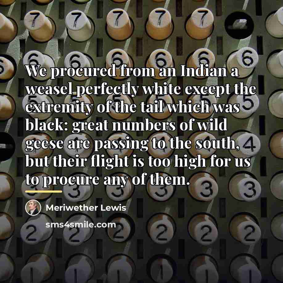 “We procured from an Indian a weasel perfectly white except…” quote by Meriwether Lewis