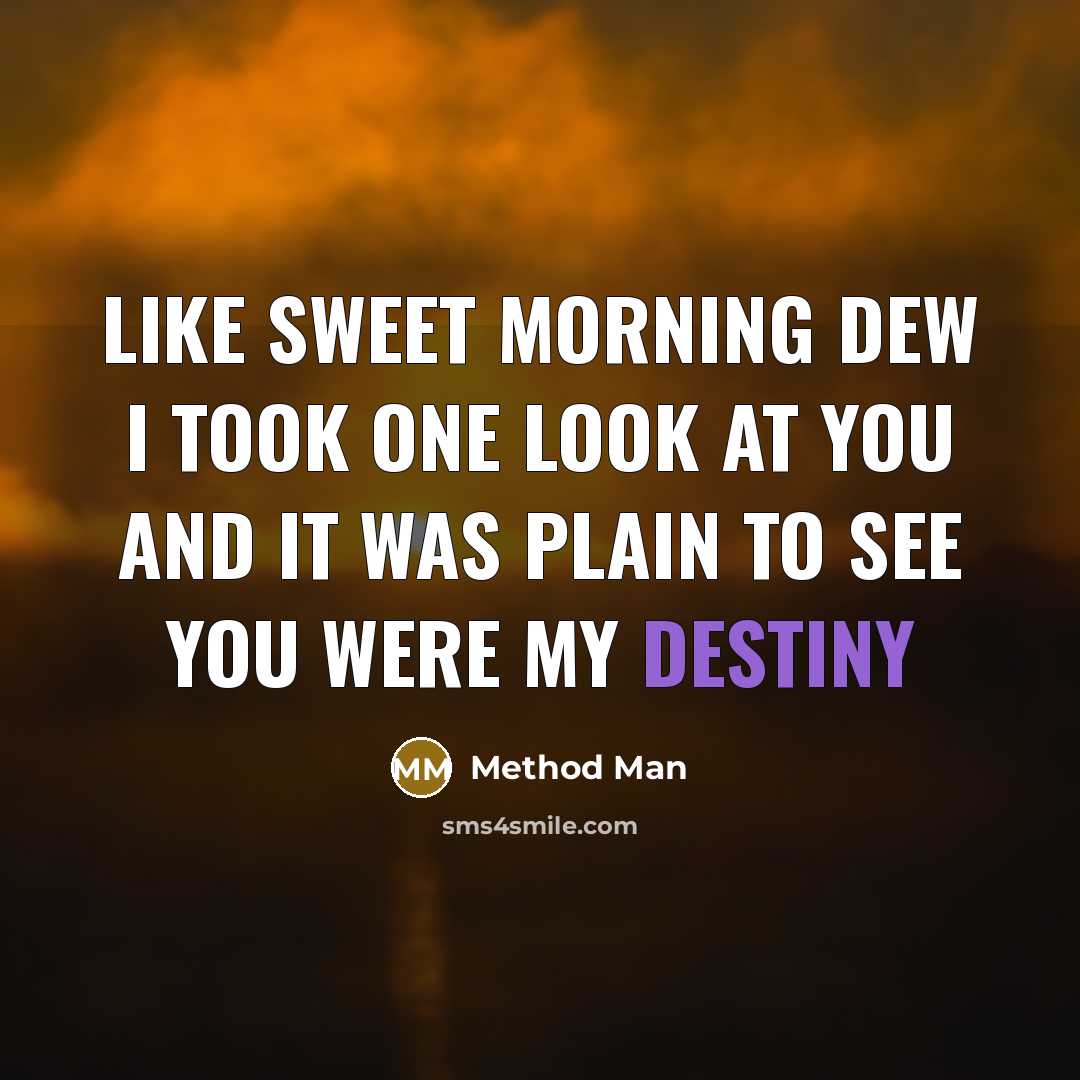 “Like sweet morning dew I took one look at you…” quote by Method Man