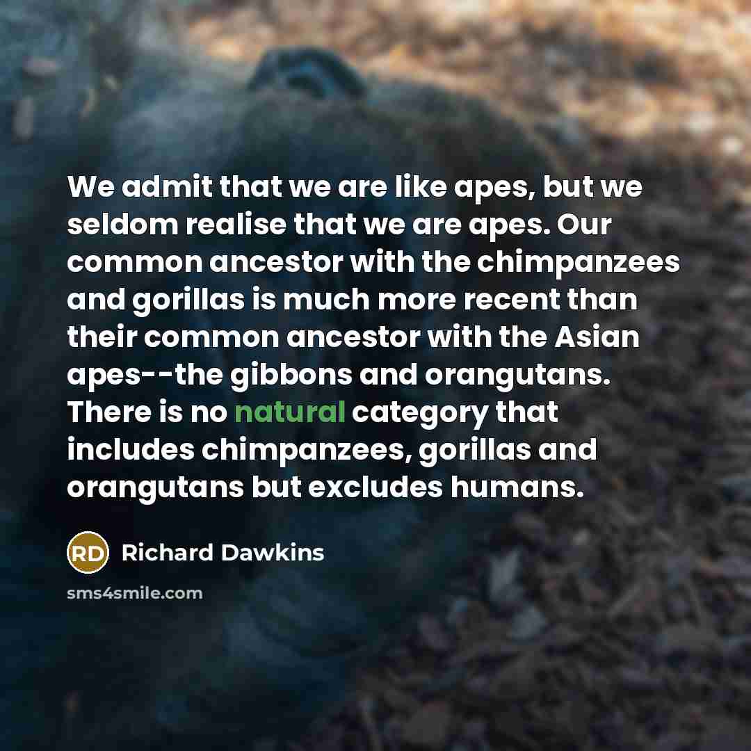 “We admit that we are like apes, but we seldom…” quote by Richard Dawkins