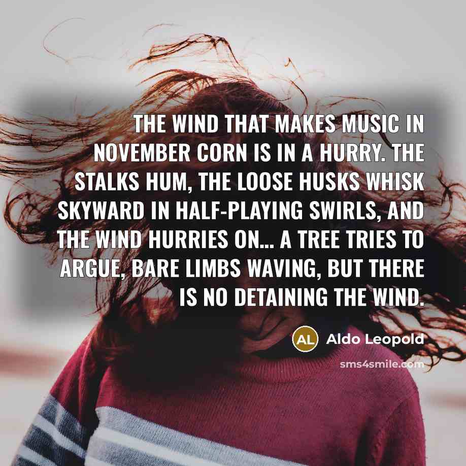 “The wind that makes music in November corn is in…” quote by Aldo Leopold