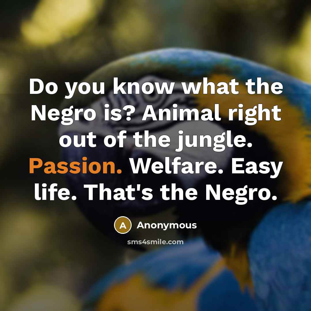 “Do you know what the Negro is? Animal right out of the jungle. Passion. Welfare. Easy life. That's the Negro.” quote by Anonymous