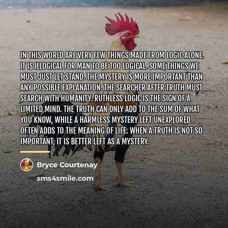 “In this world are very few things made from logic…” quote by Bryce Courtenay