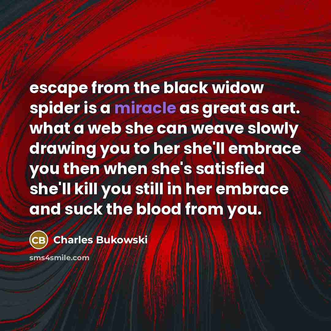 “escape from the black widow spider is a miracle as…” quote by Charles Bukowski