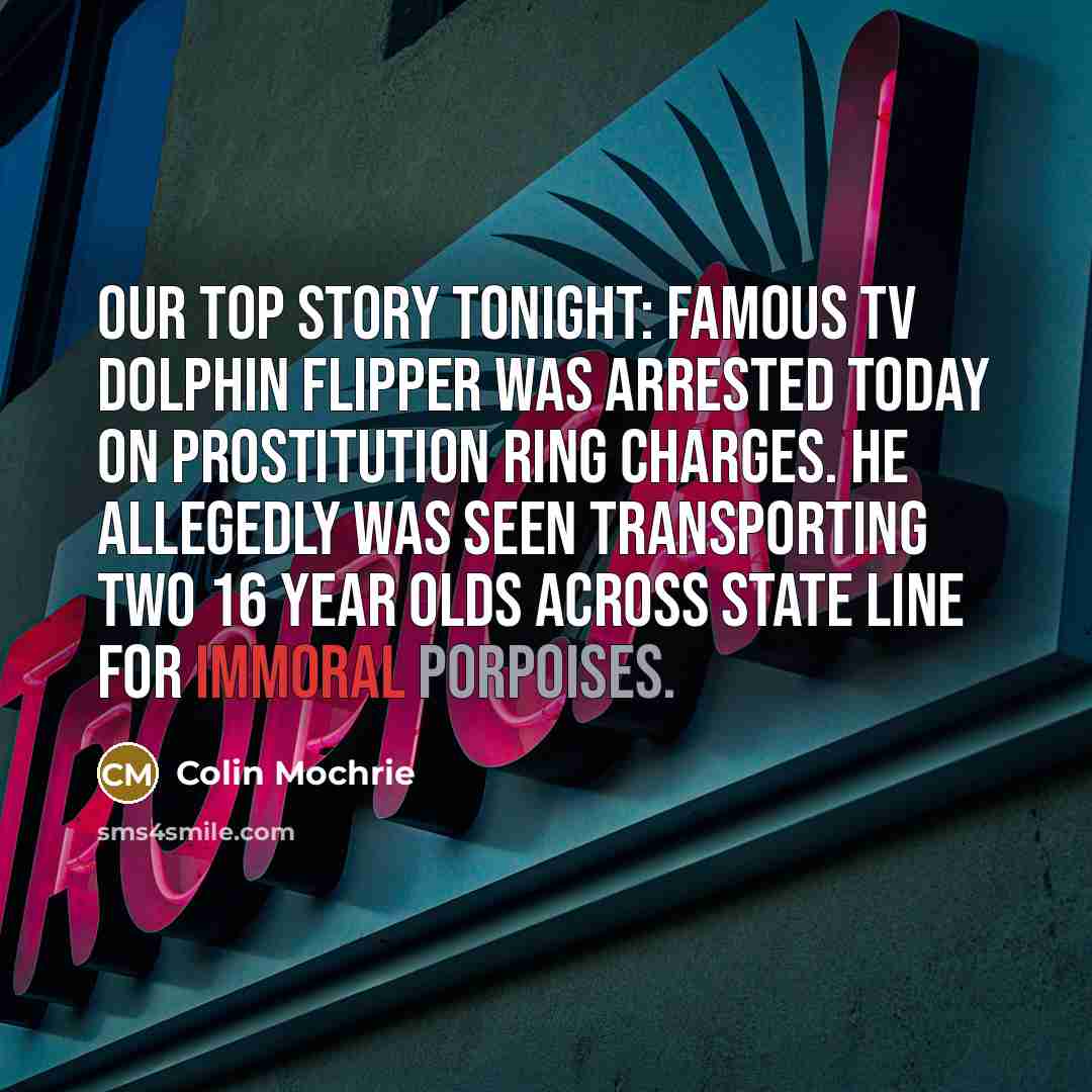 “Our top story tonight: Famous TV dolphin flipper was arrested…” quote by Colin Mochrie