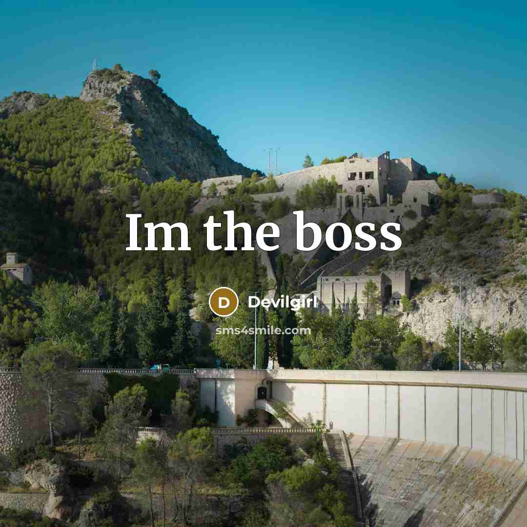 “Im the boss” quote by Devilgirl