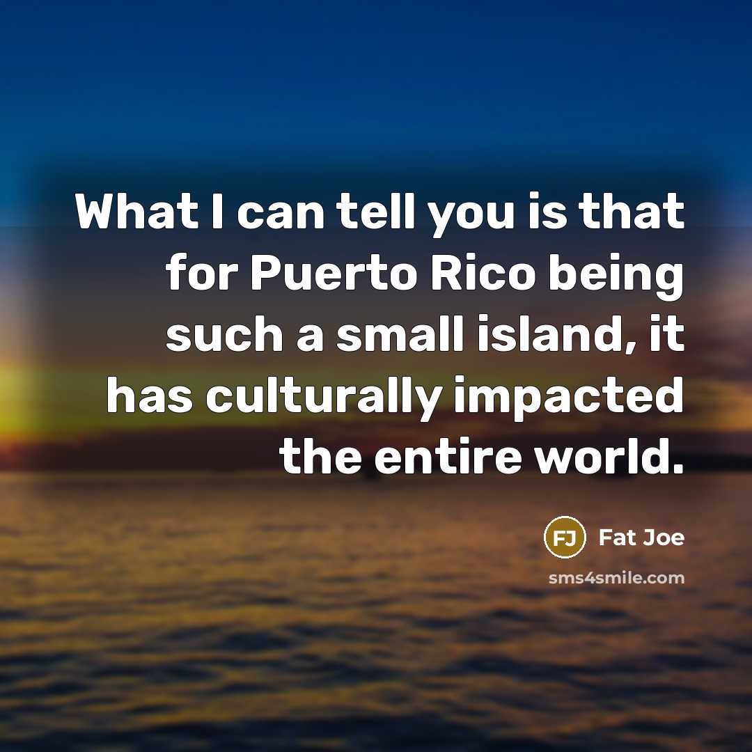 “What I can tell you is that for Puerto Rico…” quote by Fat Joe