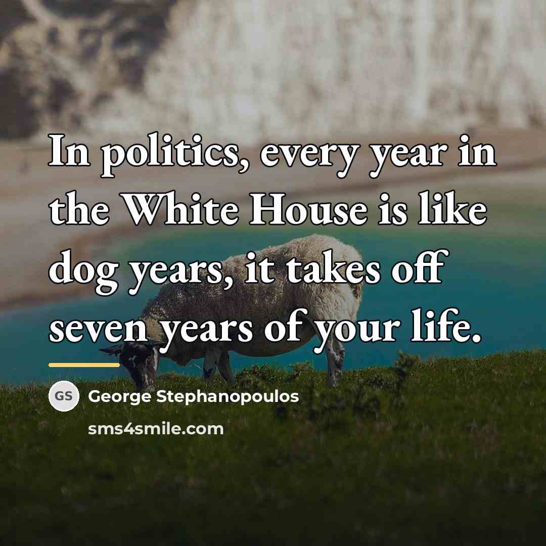“In politics, every year in the White House is like…” quote by George Stephanopoulos