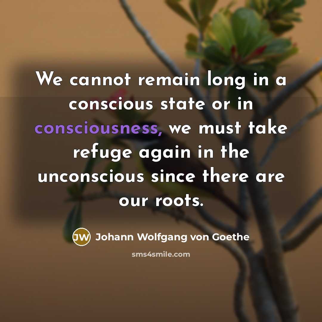 “We cannot remain long in a conscious state or in…” quote by Johann Wolfgang Von Goethe