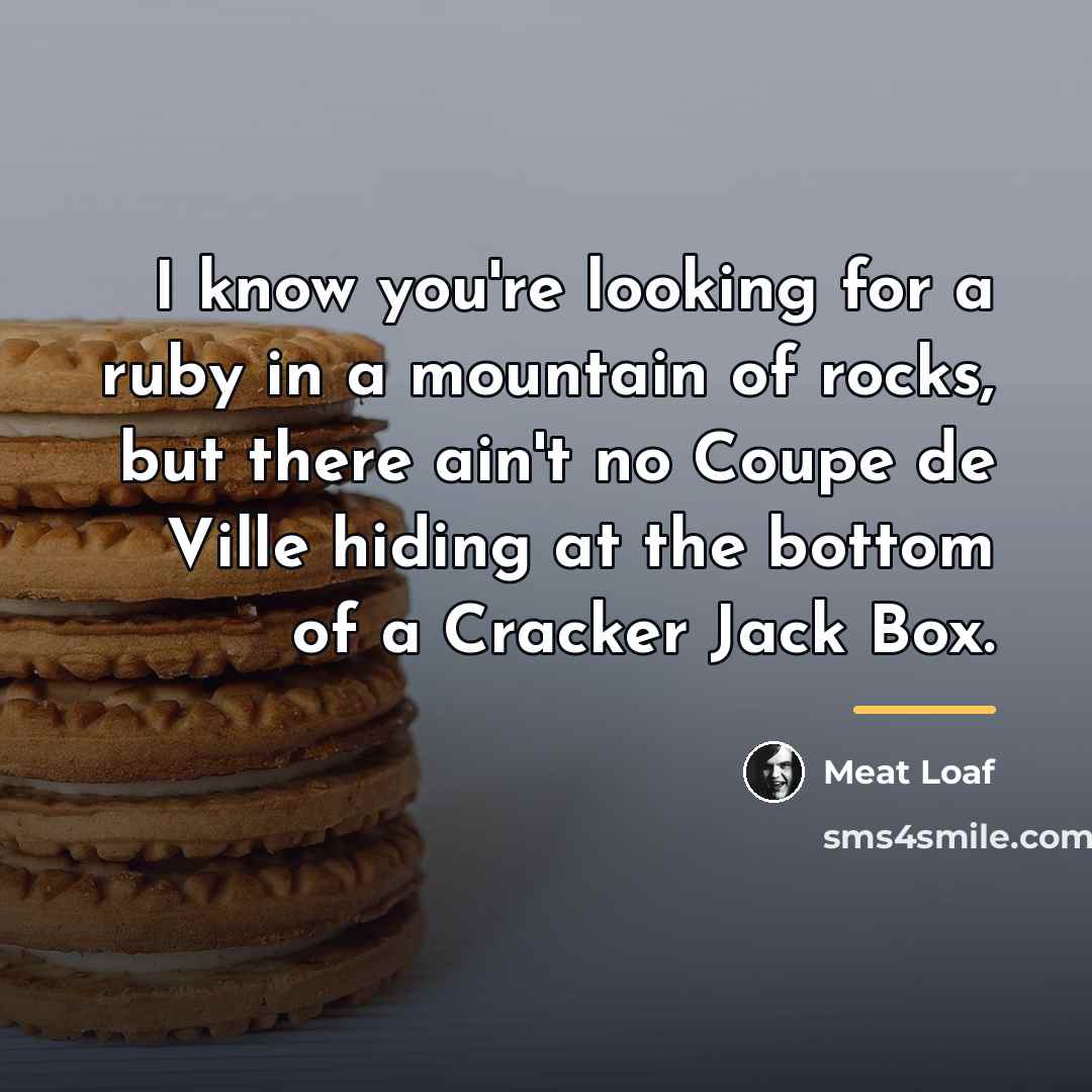 “I know you're looking for a ruby in a mountain…” quote by Meat Loaf