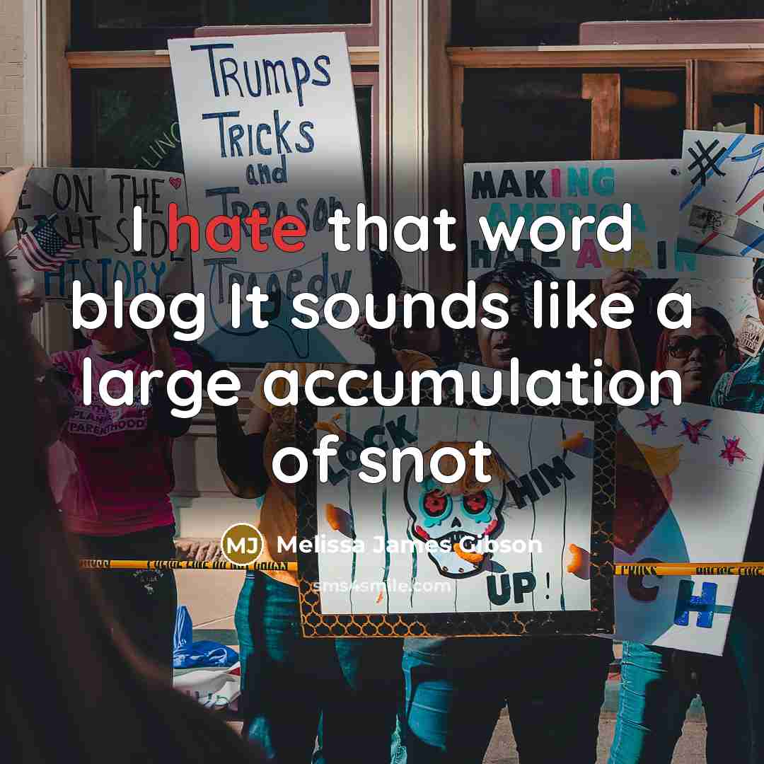 “I hate that word blog It sounds like a large accumulation of snot” quote by Melissa James Gibson