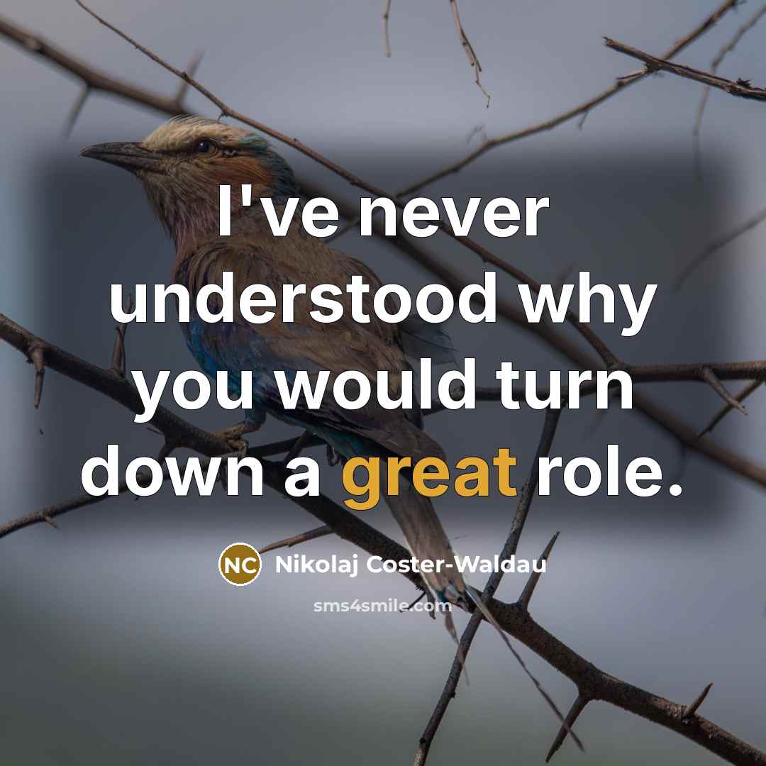 “I've never understood why you would turn down a great…” quote by Nikolaj Coster-Waldau