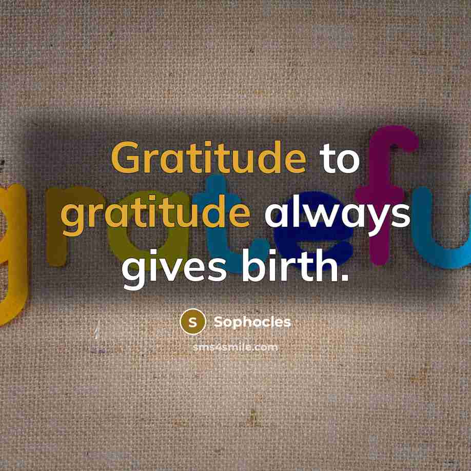 “Gratitude to gratitude always gives birth.…” quote by Sophocles