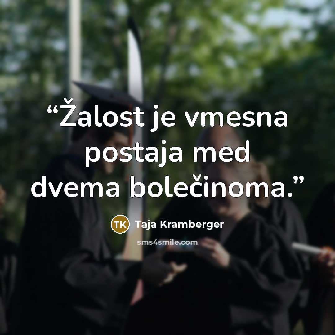 “Žalost je vmesna postaja med dvema bolečinoma.” quote by Taja Kramberger
