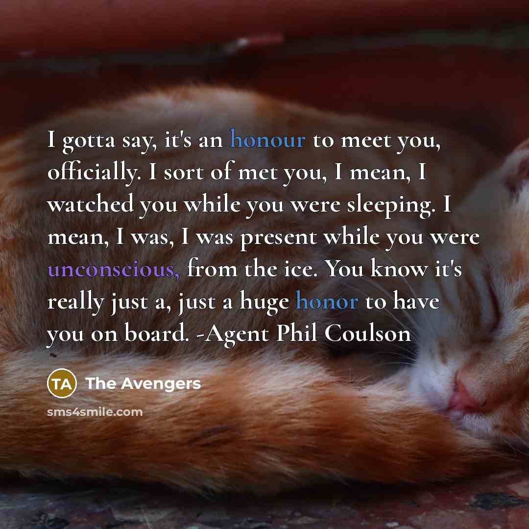 “I gotta say, it's an honour to meet you, officially. I sort of met you, I mean, I watched you while you were sleeping. I mean, I was, I was present while you were unconscious, from the ice. You know it's really just a, just a huge honor to have you on board. -Agent Phil Coulson” quote by The Avengers