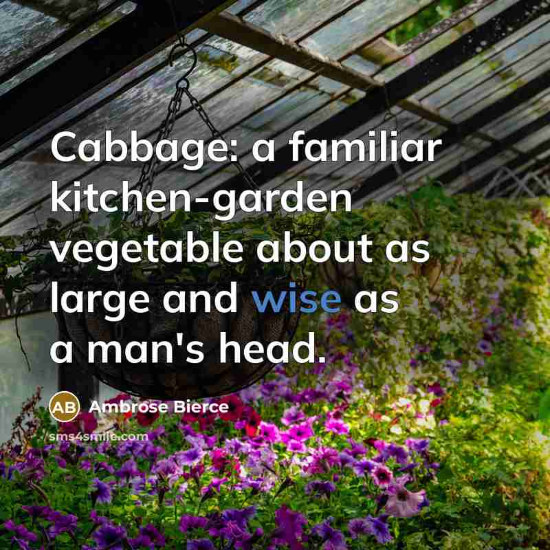“Cabbage: a familiar kitchen-garden vegetable about as large and wise…” quote by Ambrose Bierce
