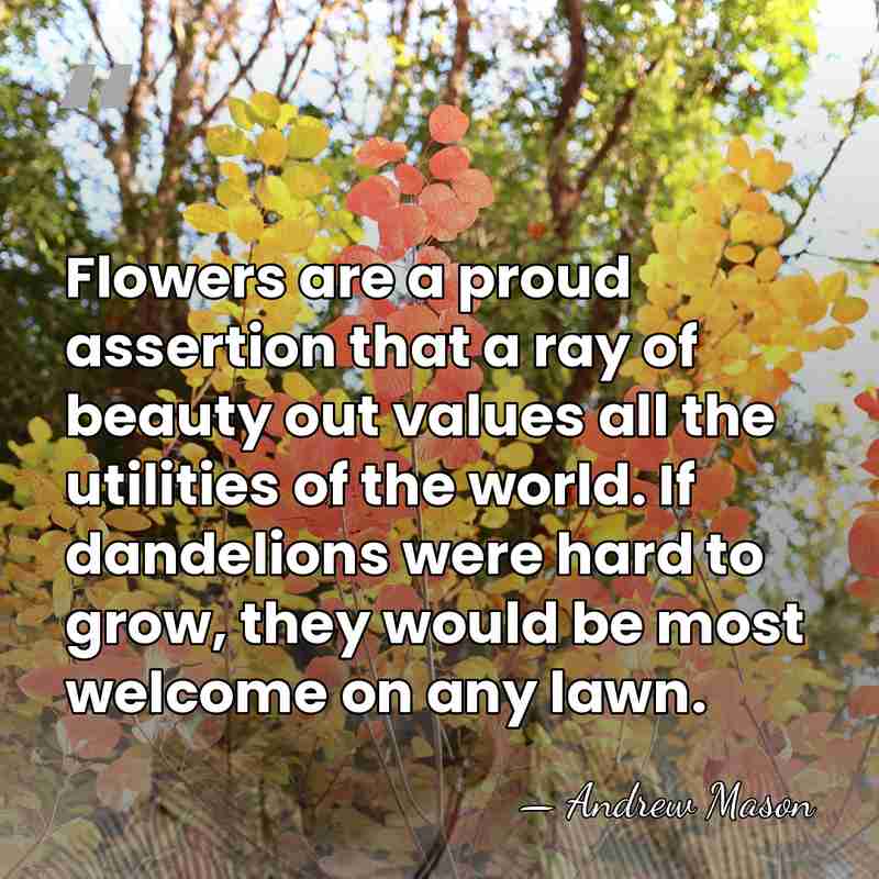 Flowers are a proud assertion that a ray of beauty out values&hellip; - Andrew Mason