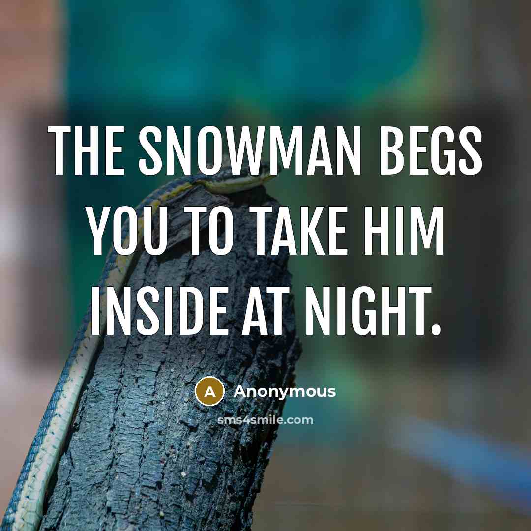 “The snowman begs you to take him inside at night.…” quote by Anonymous