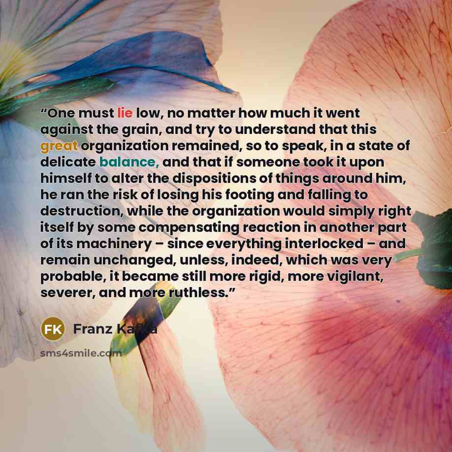 “One must lie low, no matter how much it went against the grain, and try to understand that this great organization remained, so to speak, in a state of delicate balance, and that if someone took it upon himself to alter the dispositions of things around him, he ran the risk of losing his footing…” quote by Franz Kafka