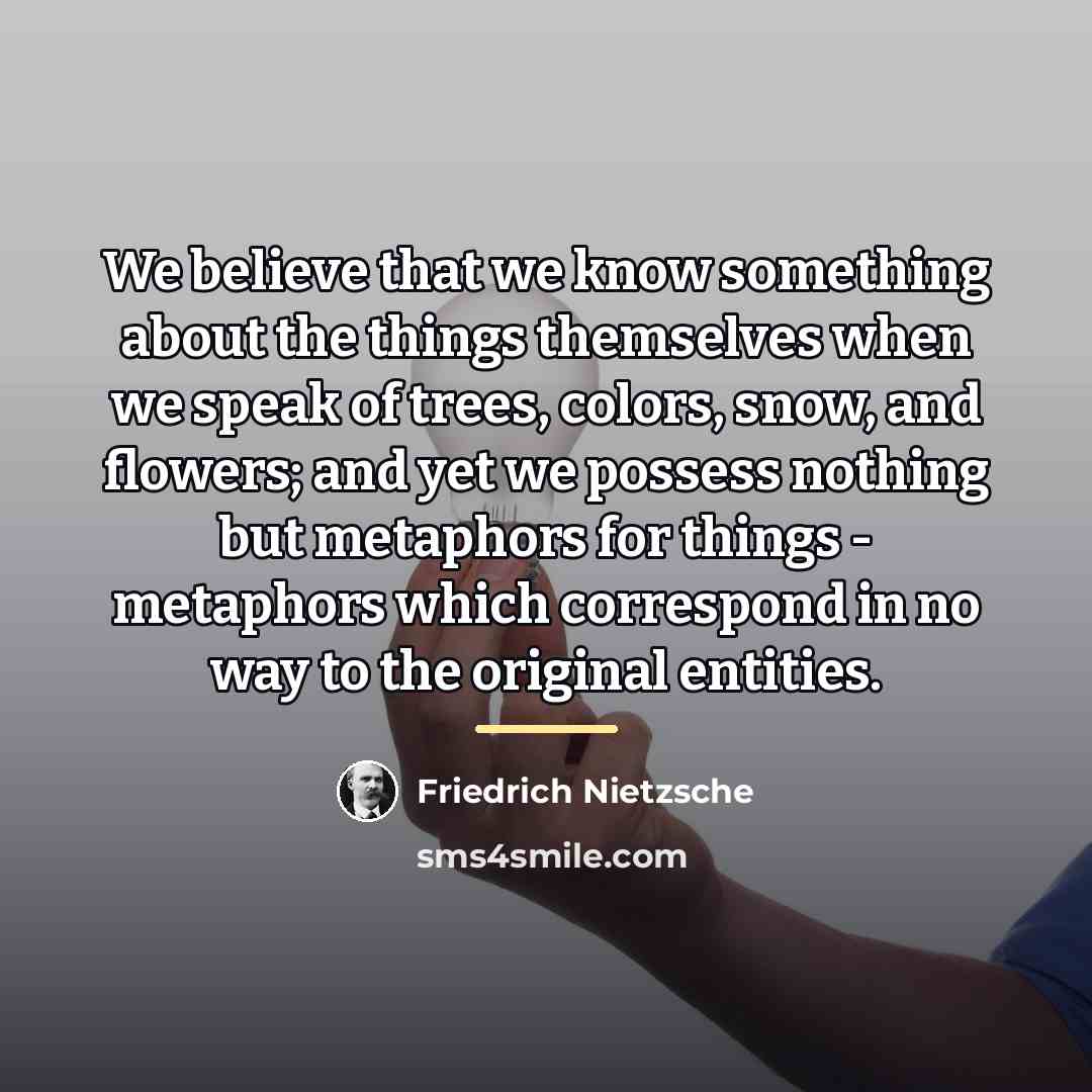 “We believe that we know something about the things themselves…” quote by Friedrich Nietzsche