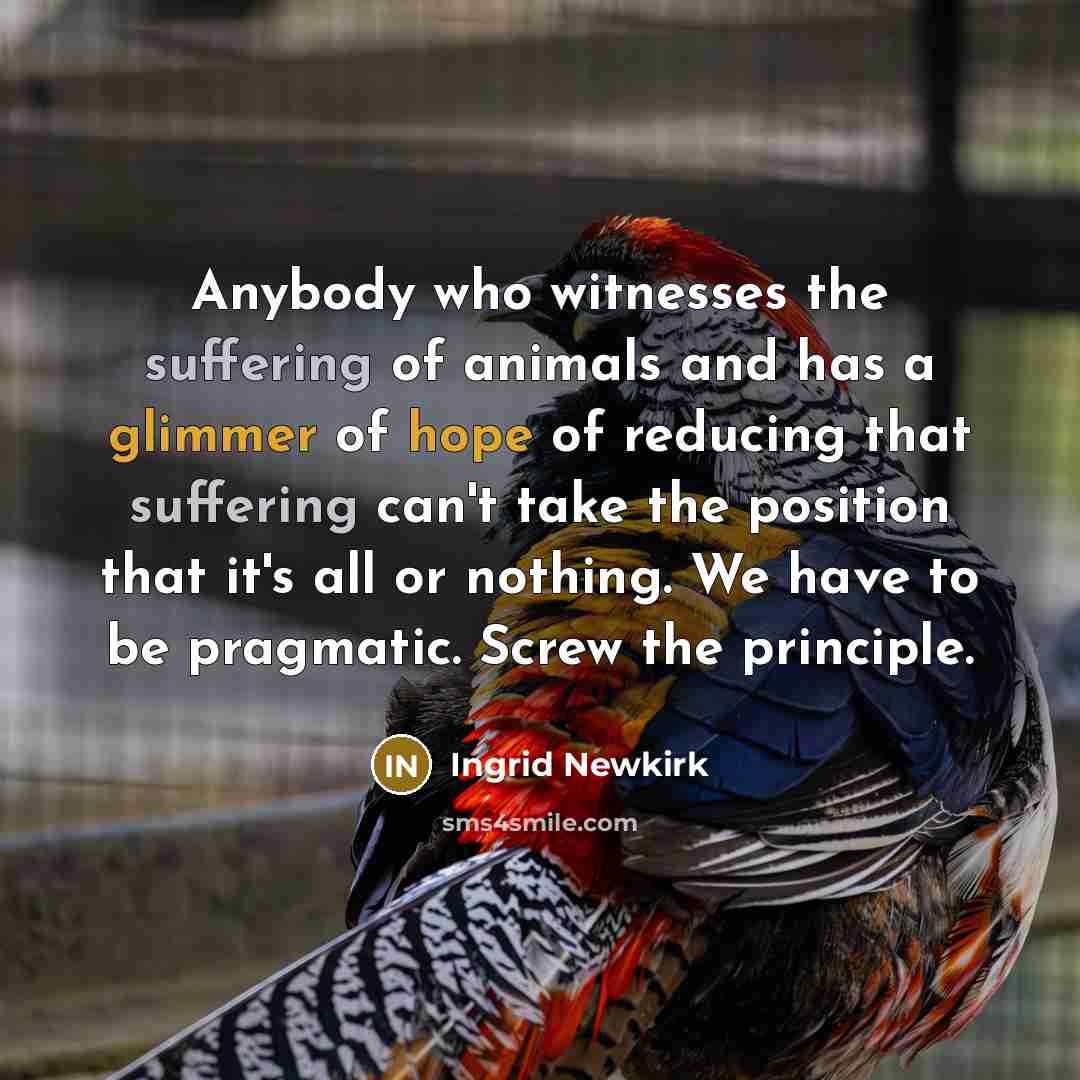 “Anybody who witnesses the suffering of animals and has a…” quote by Ingrid Newkirk