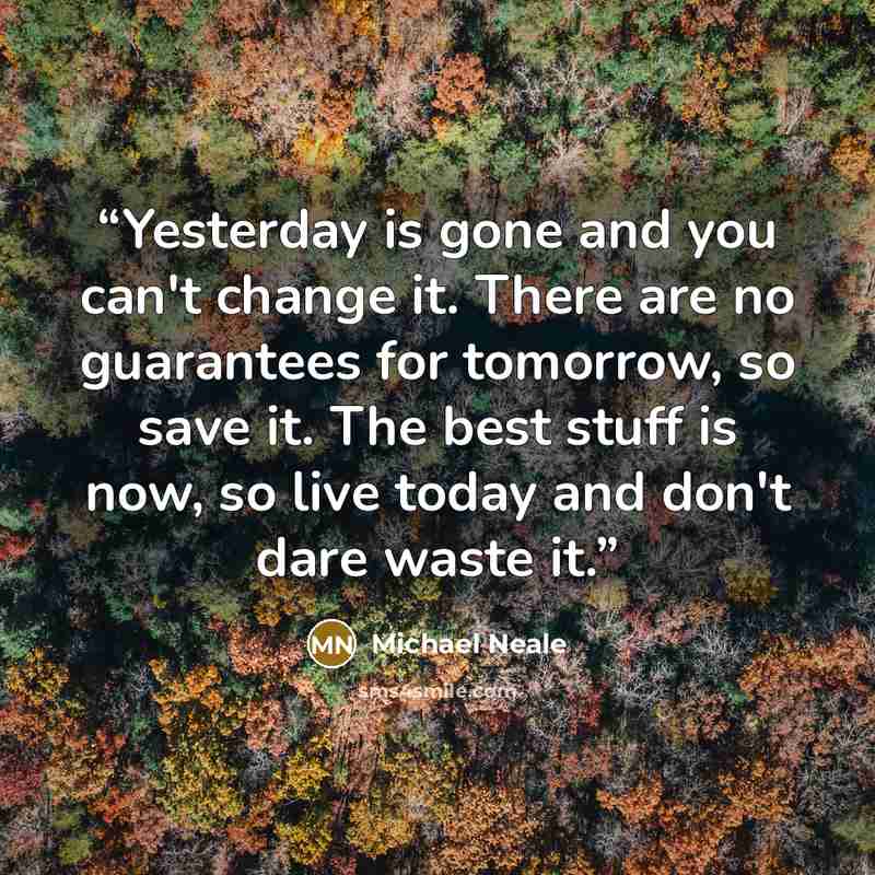 “Yesterday is gone and you can't change it. There are no guarantees for tomorrow, so save it. The best stuff is now, so live today and don't dare waste it.” quote by Michael Neale