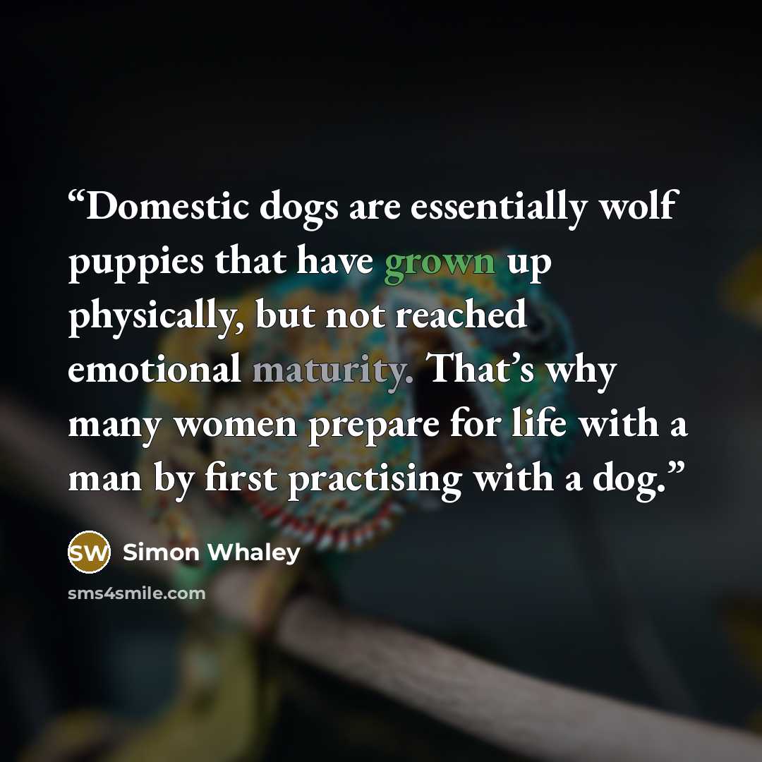 “Domestic dogs are essentially wolf puppies that have grown up physically, but not reached emotional maturity. That’s why many women prepare for life with a man by first practising with a dog.” quote by Simon Whaley