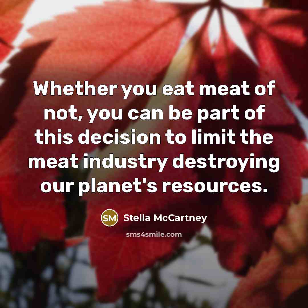 “Whether you eat meat of not, you can be part…” quote by Stella McCartney