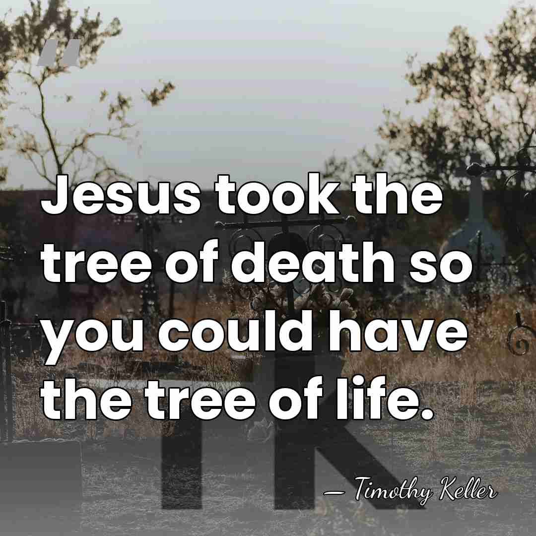 Jesus took the tree of death so you could have the tree&hellip; - Timothy Keller
