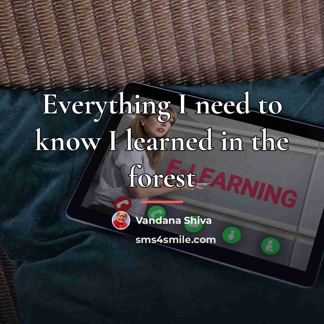 “Everything I need to know I learned in the forest…” quote by Vandana Shiva