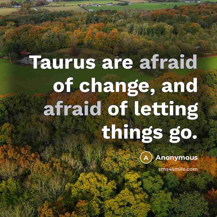 “Taurus are afraid of change, and afraid of letting things…” quote by Anonymous