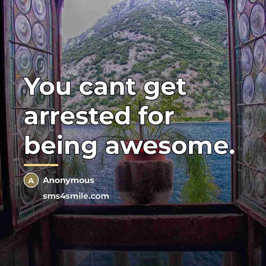 “You cant get arrested for being awesome.…” quote by Anonymous