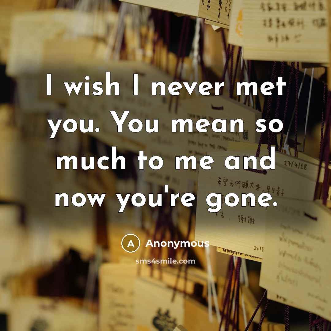 “I wish I never met you. You mean so much to me and now you're gone.” quote by Anonymous