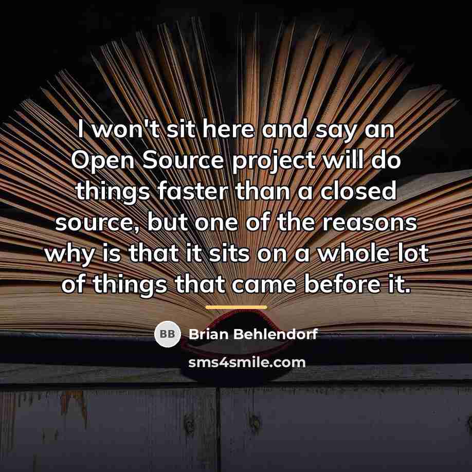 “I won't sit here and say an Open Source project…” quote by Brian Behlendorf